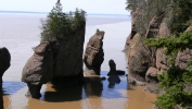 PICTURES/New Brunswick - Hopewell Rocks/t_Rocks4.JPG